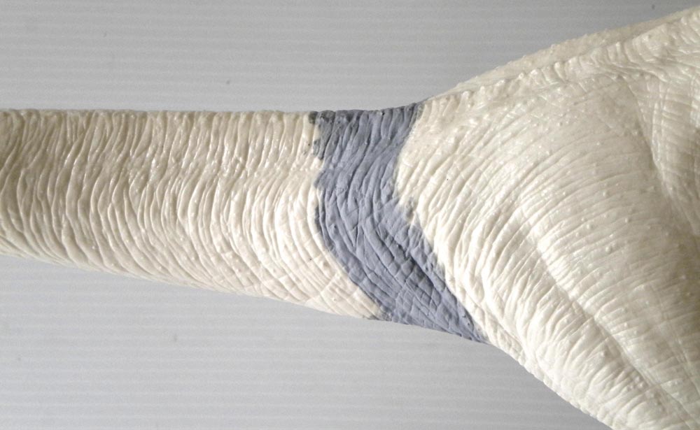 Détail de la queue de Velociraptor avec texture d'écailles sculptée et mastic gris de jointure