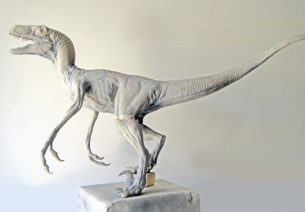 Maquette de Velociraptor non peinte gueule ouverte sur socle, vue de profil