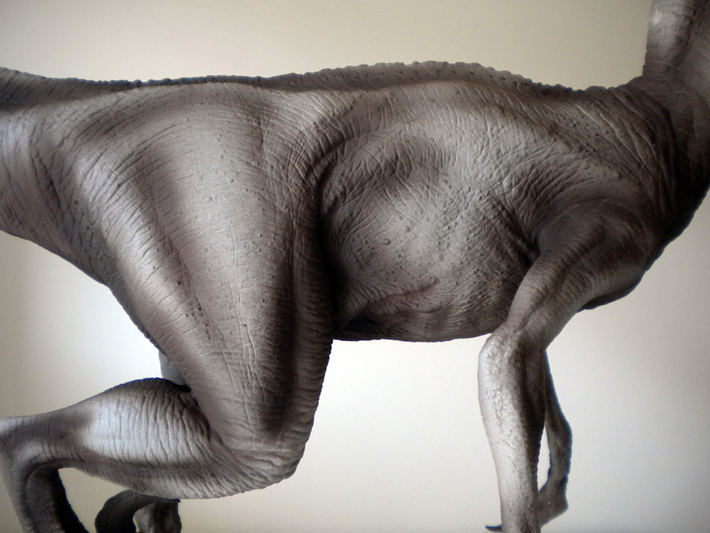 Détail du flanc et des pattes de la maquette de Velociraptor montrant la peinture texturée de la peau