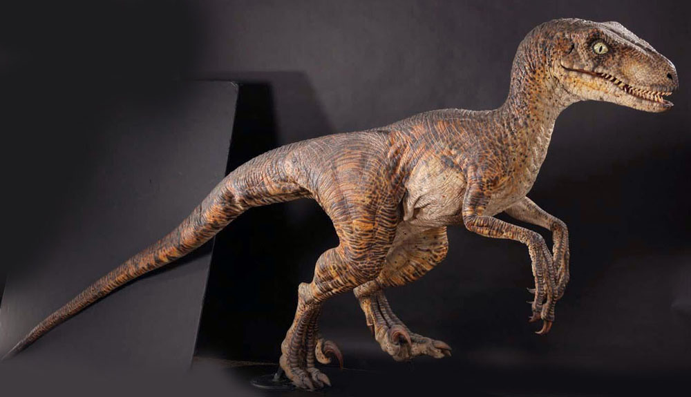 Maquette de Velociraptor brun-orangé en posture dynamique de profil sur fond sombre