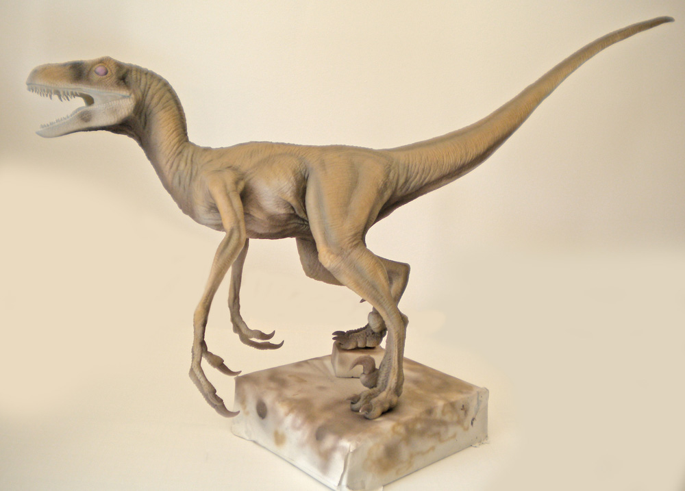 Maquette de Velociraptor gueule ouverte, gris beige, sur socle clair en mouvement