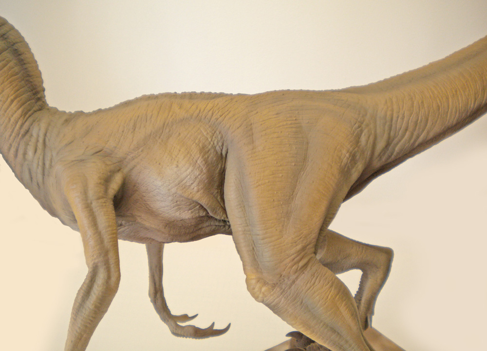 Maquette de Vélociraptor montrant le corps, les pattes griffues et la queue avant peinture