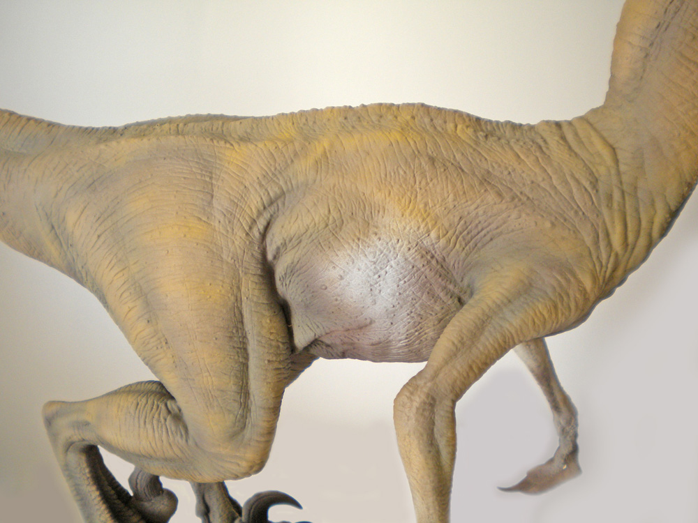Détail du corps et des pattes peintes d'une maquette de Velociraptor montrant la texture de la peau