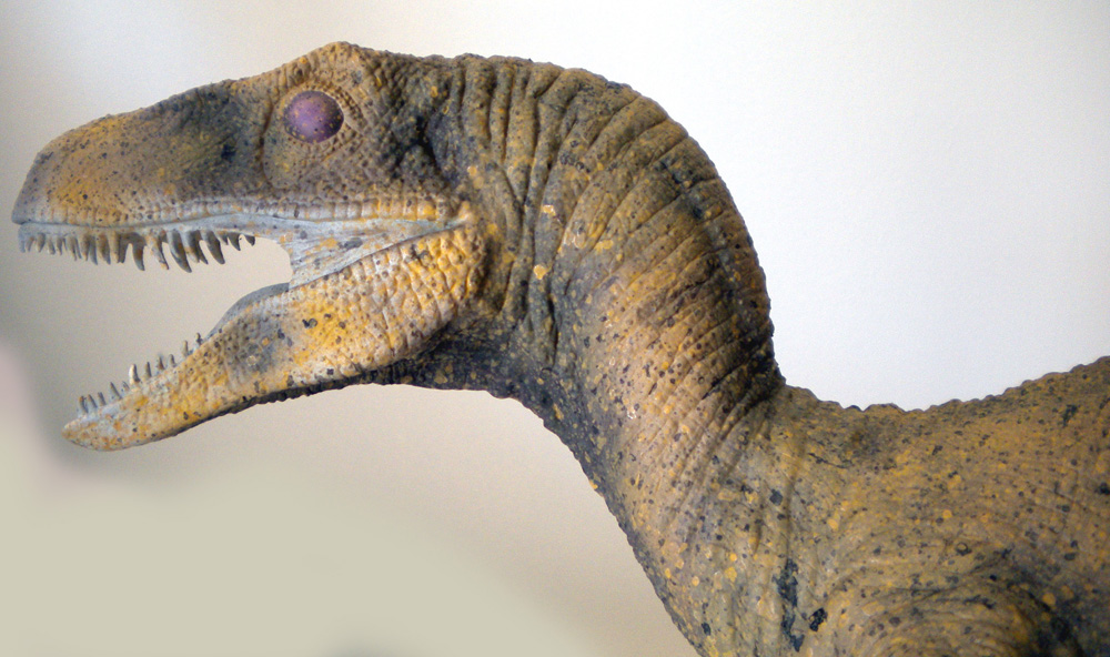 Tête peinte de maquette de Velociraptor gueule ouverte montrant les dents acérées