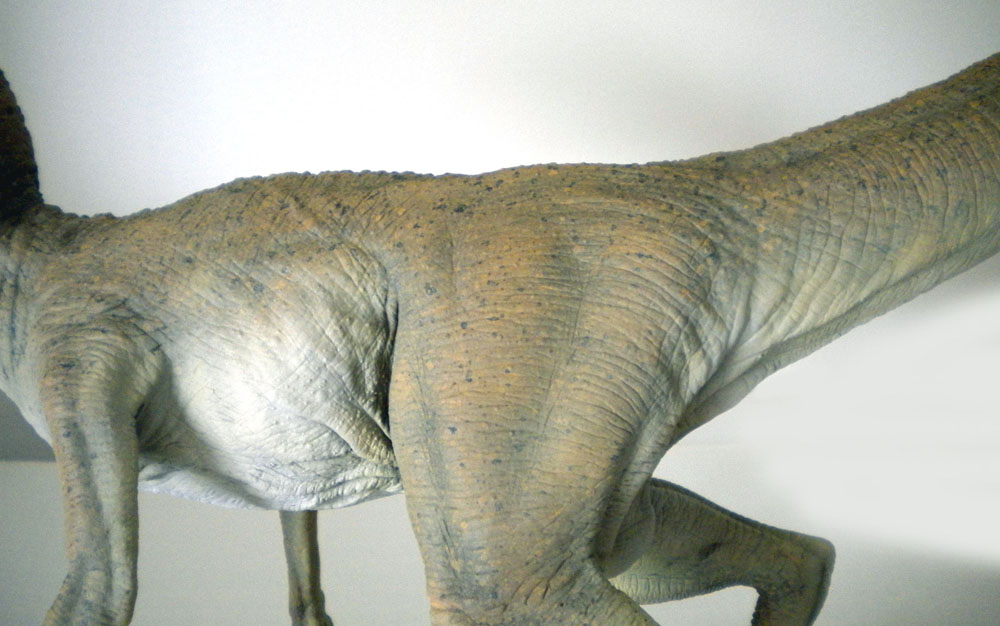 Détail du flanc et des cuisses d'une maquette de Velociraptor à la peau écailleuse peinte