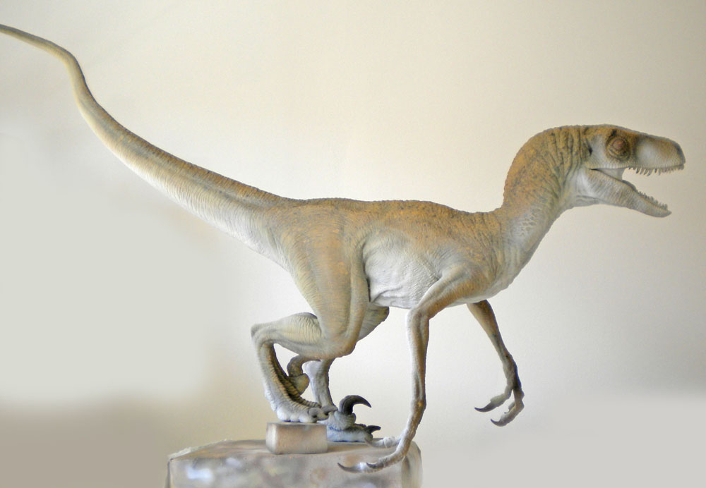 Maquette de Velociraptor en apprêt clair, profil complet, longue queue tendue, sur socle transparent