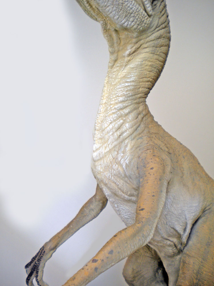Maquette de Velociraptor montrant le cou, le torse et les bras aux longues griffes
