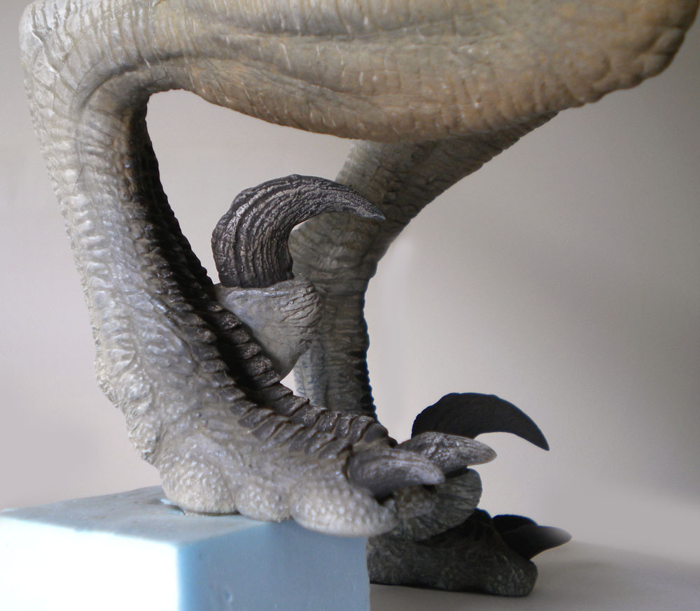 Gros plan sur la patte peinte d'une maquette de Velociraptor montrant la griffe recourbée