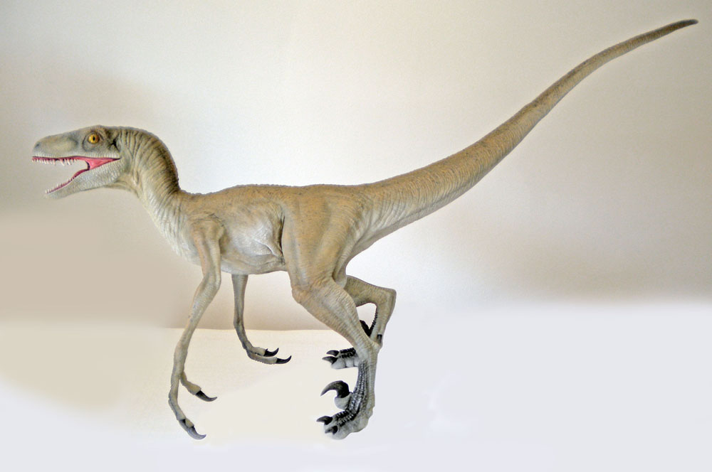 Maquette de Velociraptor gris vue de profil, gueule ouverte et longue queue tendue