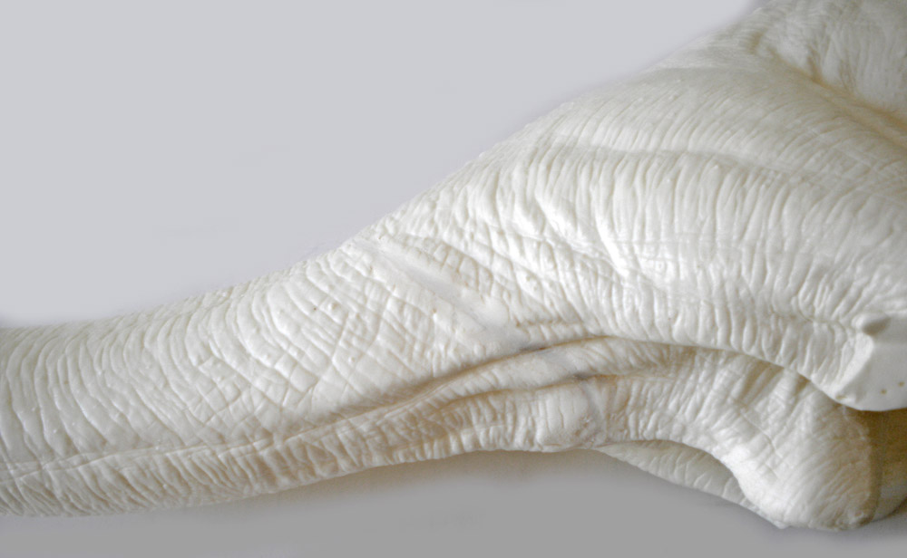 Détail de la patte sculptée en mastic blanc texturé d'écailles pour la maquette de Velociraptor