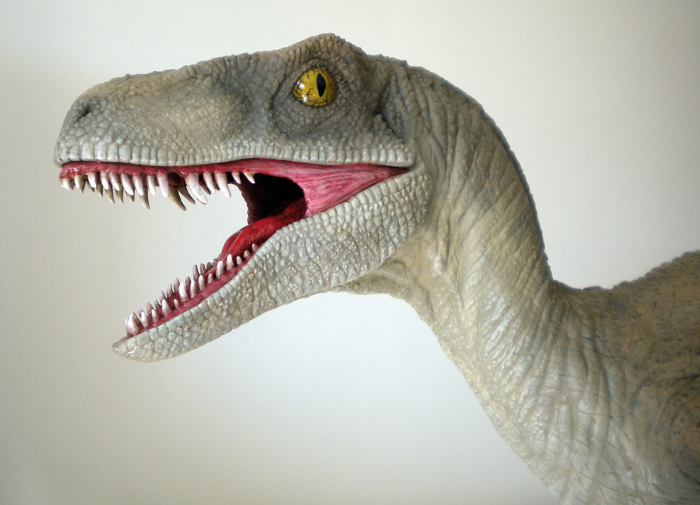 Tête de maquette de Velociraptor gueule ouverte, dents acérées et œil jaune