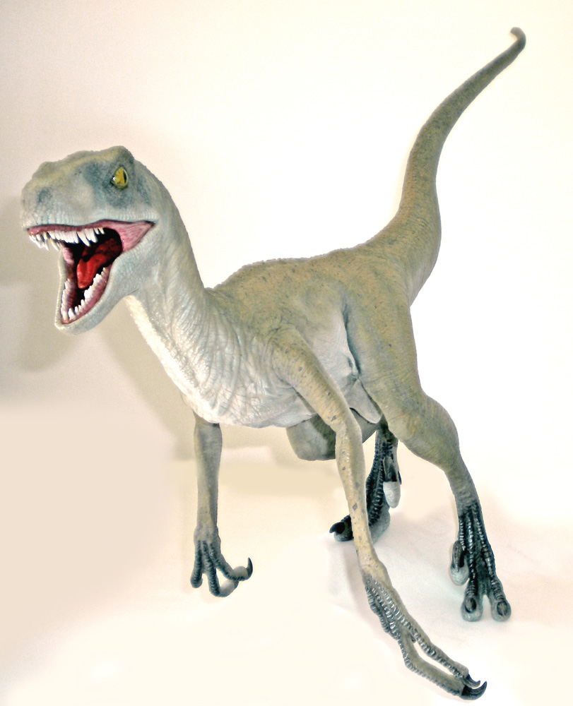 Maquette de Velociraptor gris gueule ouverte montrant ses dents sur fond blanc