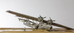 Consolided Catalina