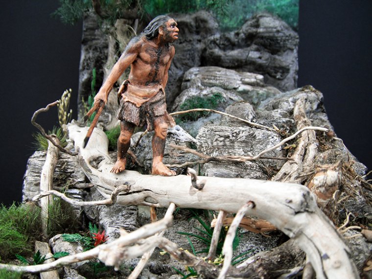 crom3