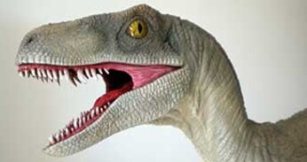 Velociraptor - échelle 1/5ème