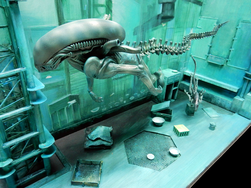 alien 51