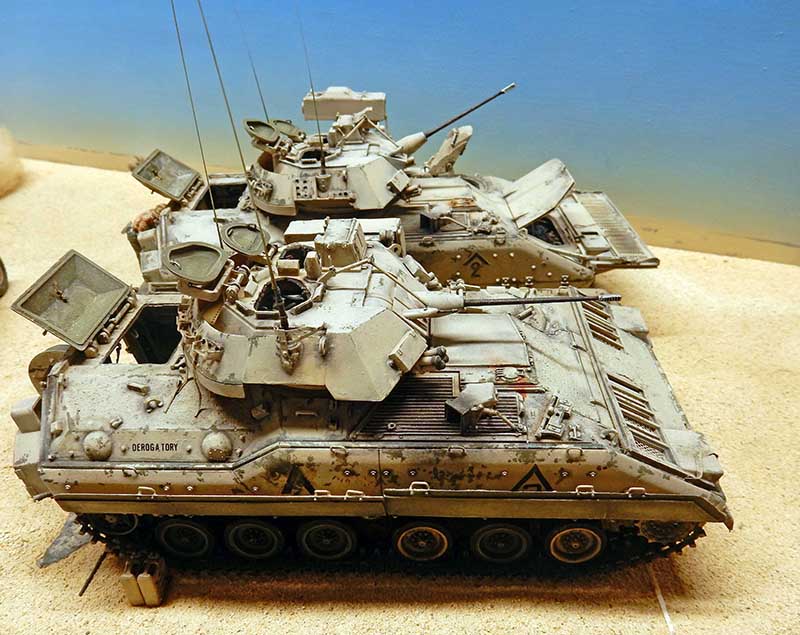 bradley 29