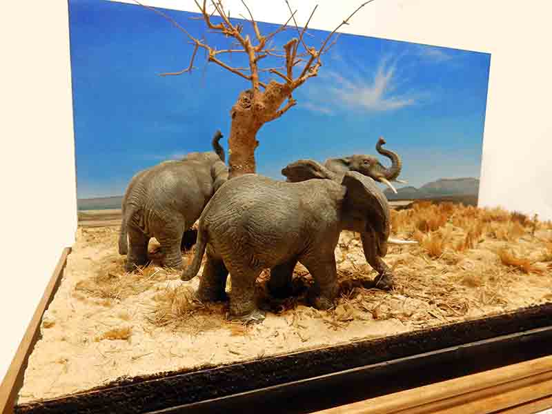 elphants13