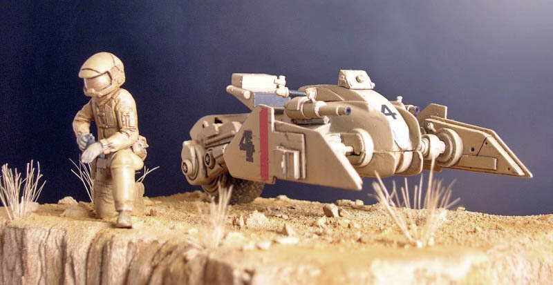 jipi 24
