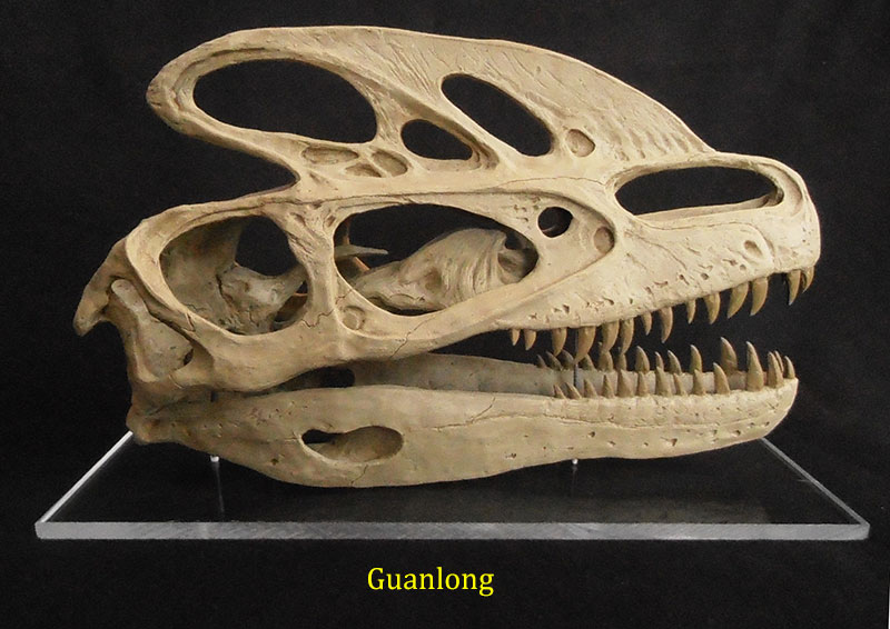 guanlong