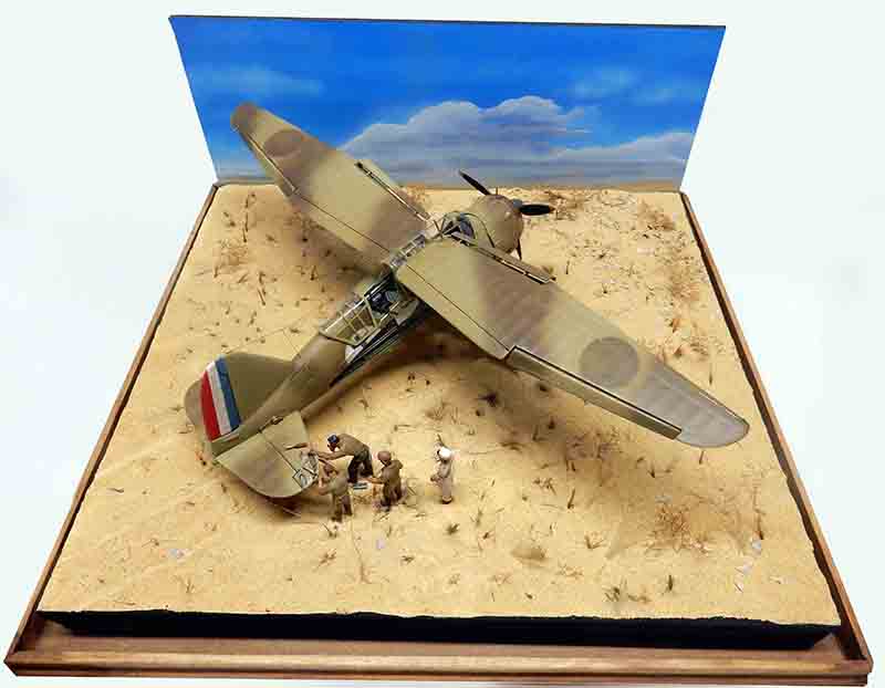 lysander 11