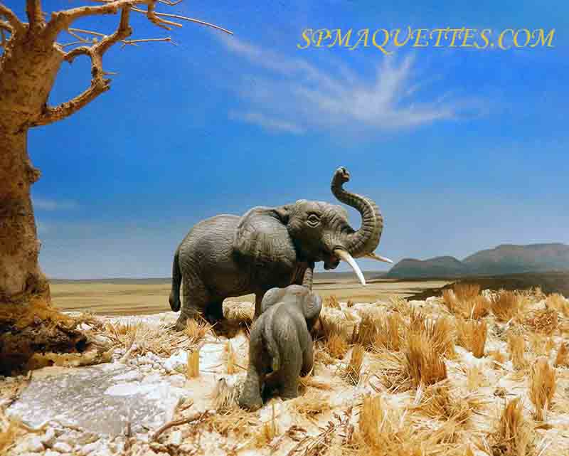 elphants - ori