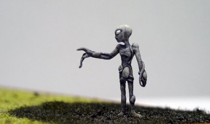 petit gris 01