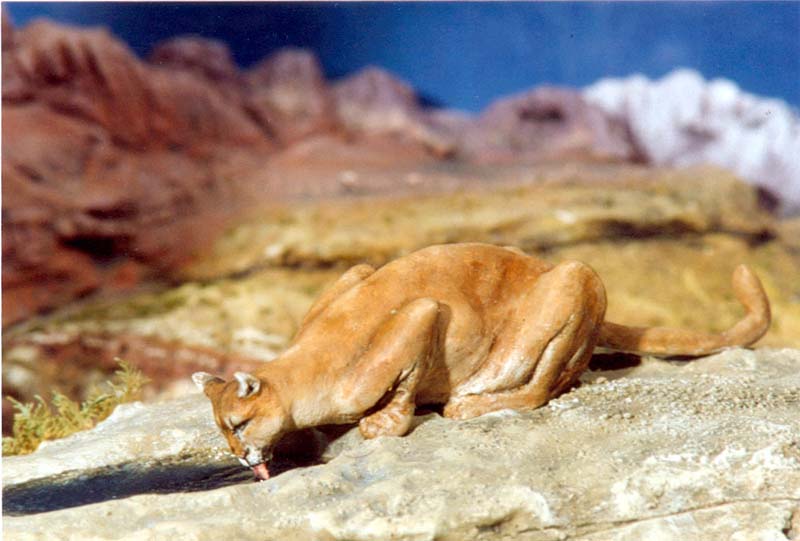 puma 2