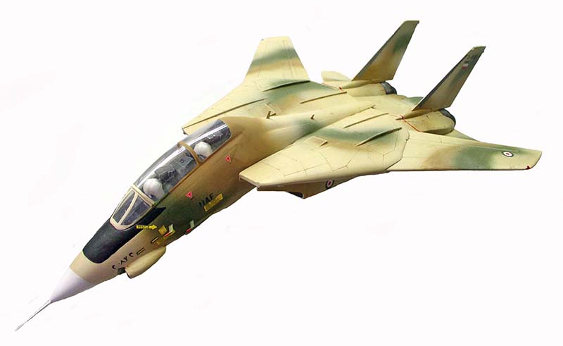 tomcat02