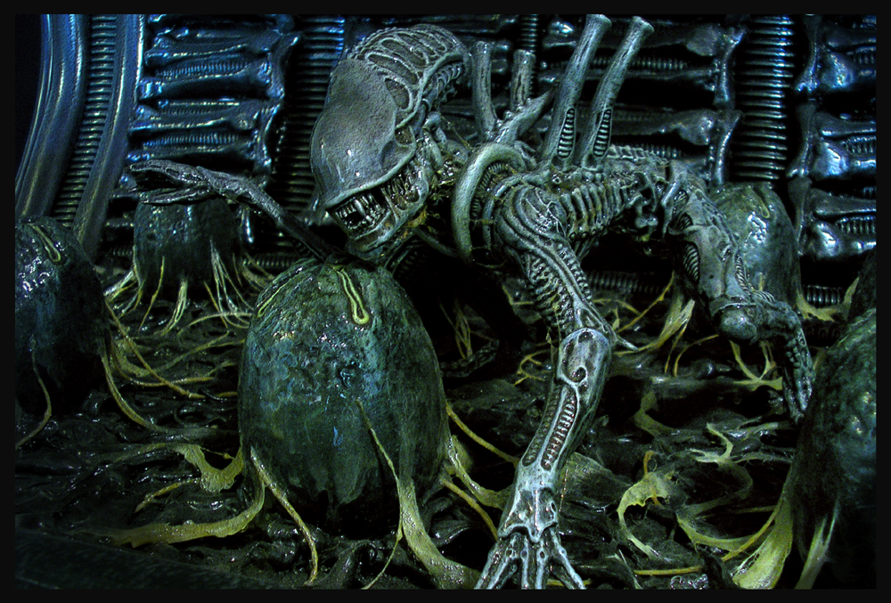 alien 12