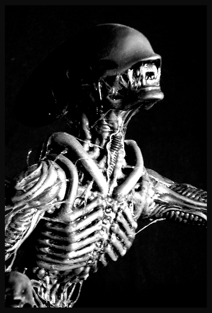 alien 13