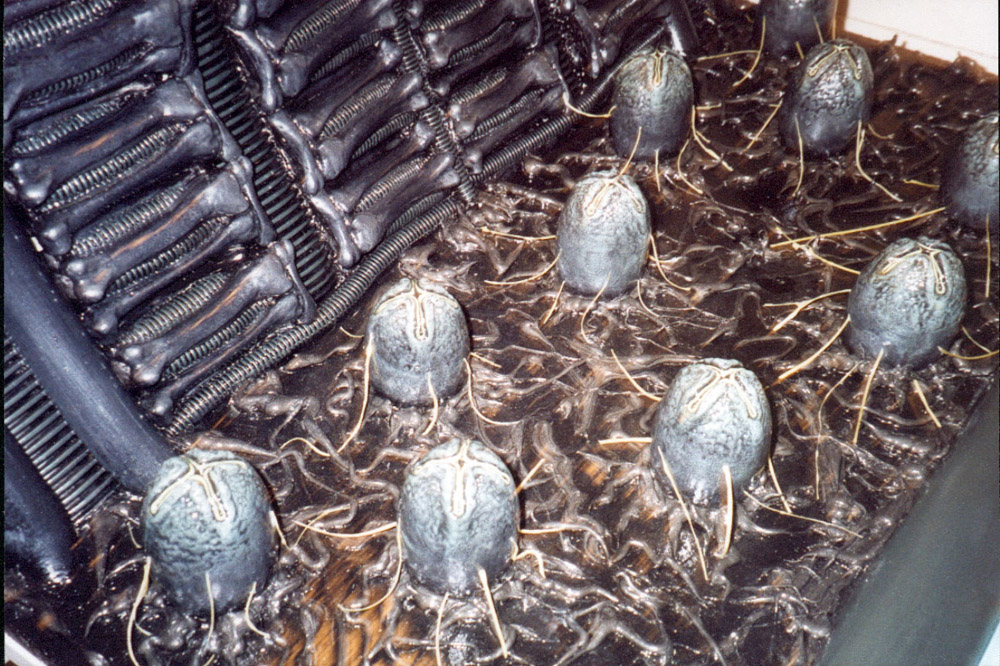 alien 35