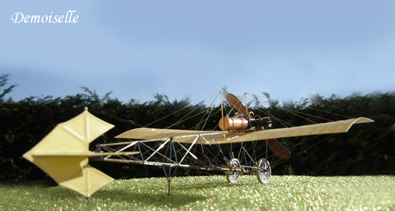 demoiselle - 2