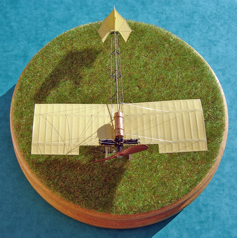 demoiselle - 3